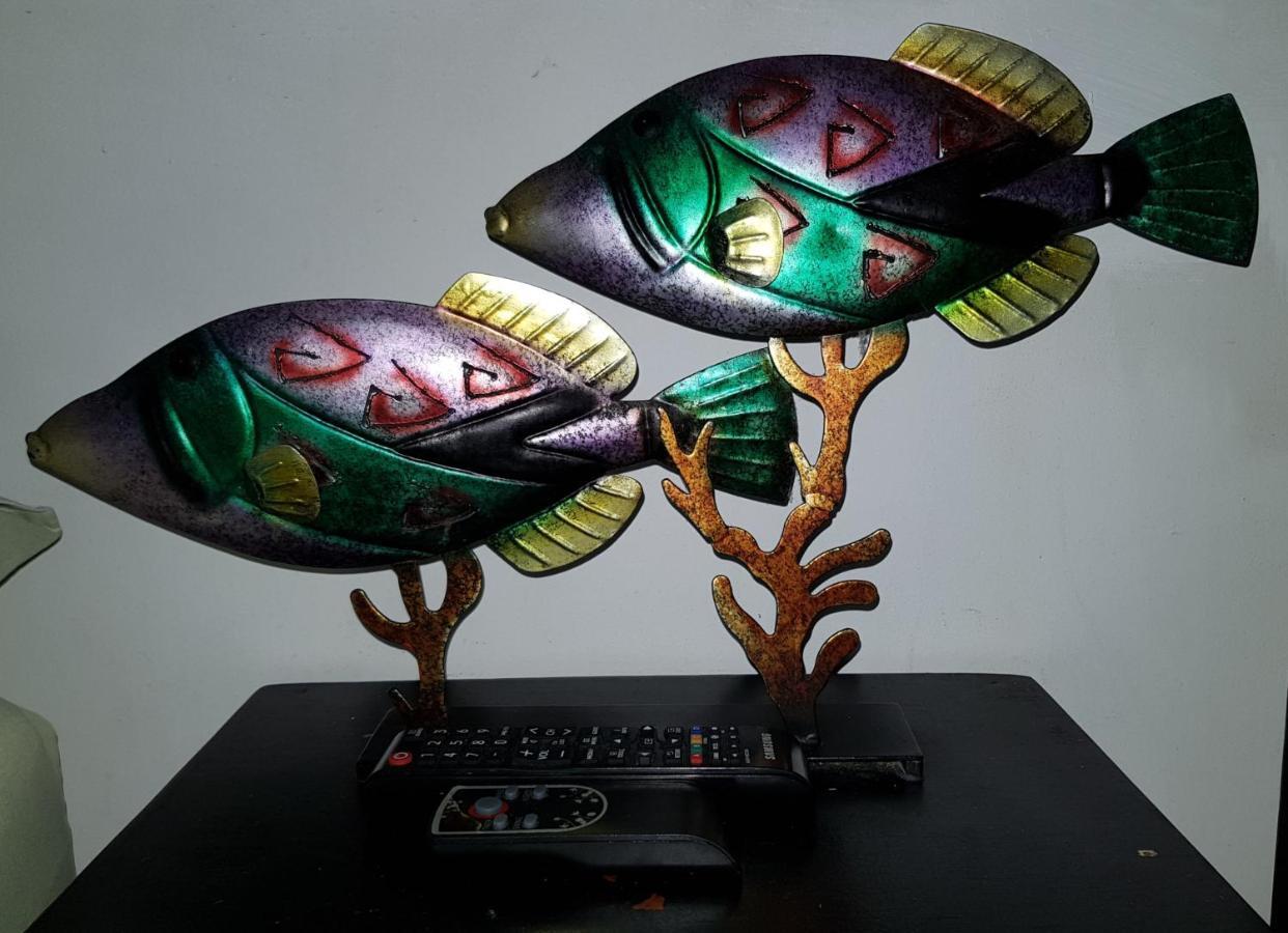 Posada Turistica Colors Of The Sea ซานอันเดรส ภายนอก รูปภาพ